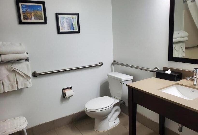 适合残疾人士使用的带超级大床的标准间, Comfort Inn & Suites Calhoun South