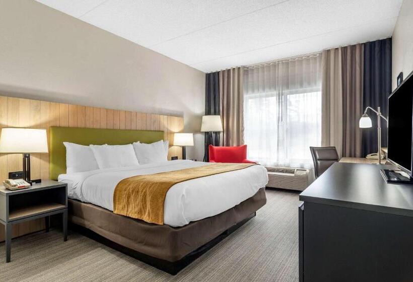 身障者適用キングサイズベッドルーム, Comfort Inn & Suites Calhoun South