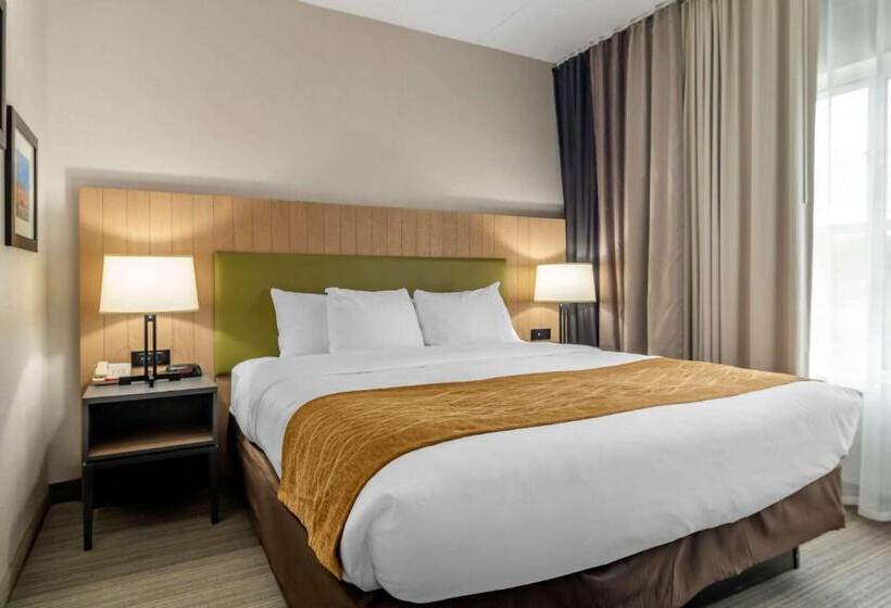 适合残疾人士使用的套间, Comfort Inn & Suites Calhoun South