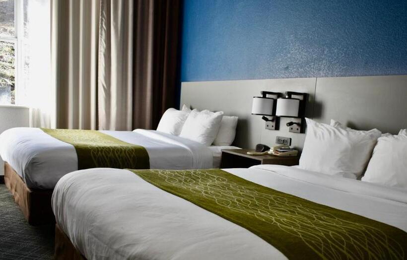 套房, Comfort Inn & Suites Calhoun South