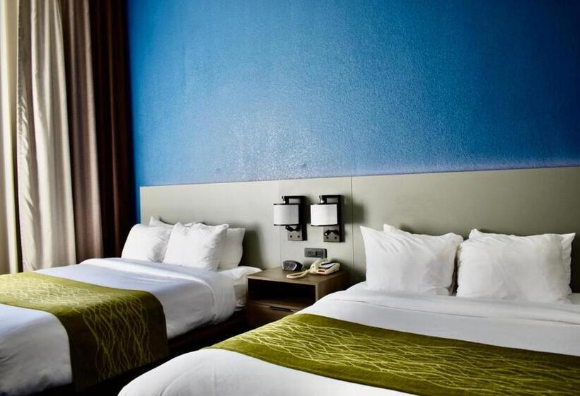 スイート, Comfort Inn & Suites Calhoun South