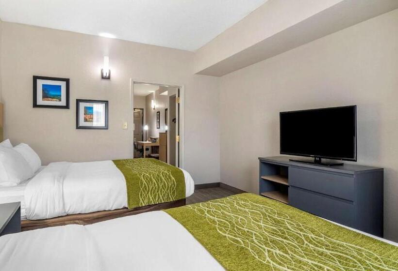 スイート, Comfort Inn & Suites Calhoun South