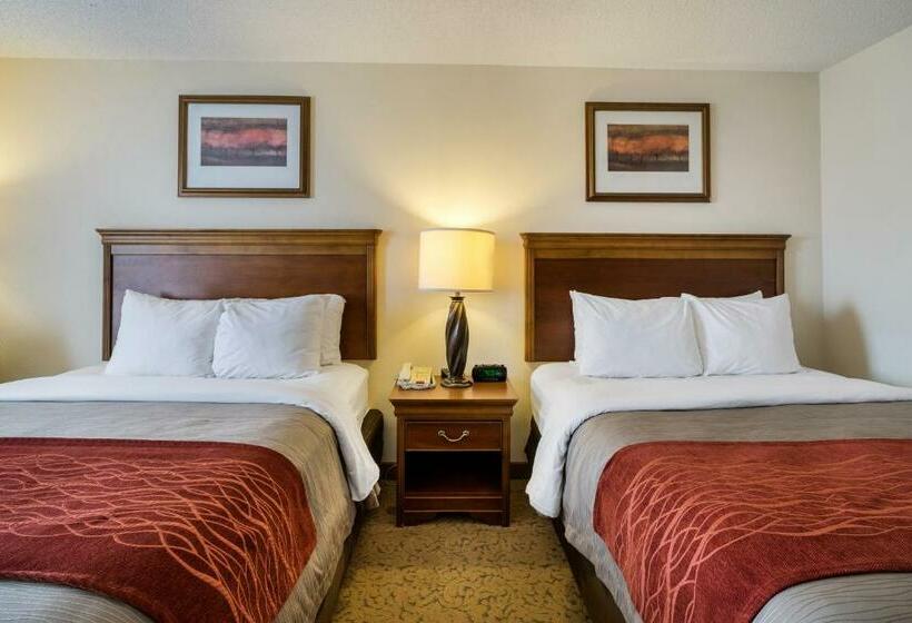 اتاق استاندارد, Comfort Inn & Suites