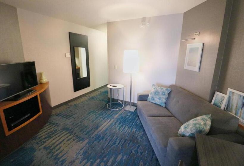 带大床的标准工作室, Fairfield Inn & Suites Des Moines Airport