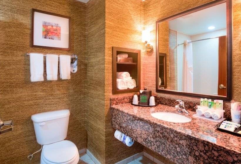 Люкс, Holiday Inn Express Hotel And Suites Elk City, An Ihg