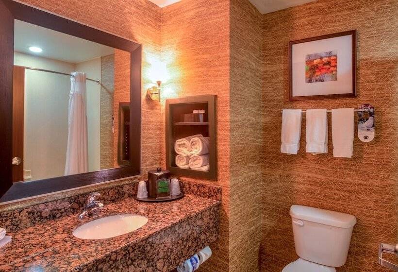 Люкс Адаптированный для Инвалидов, Holiday Inn Express Hotel And Suites Elk City, An Ihg