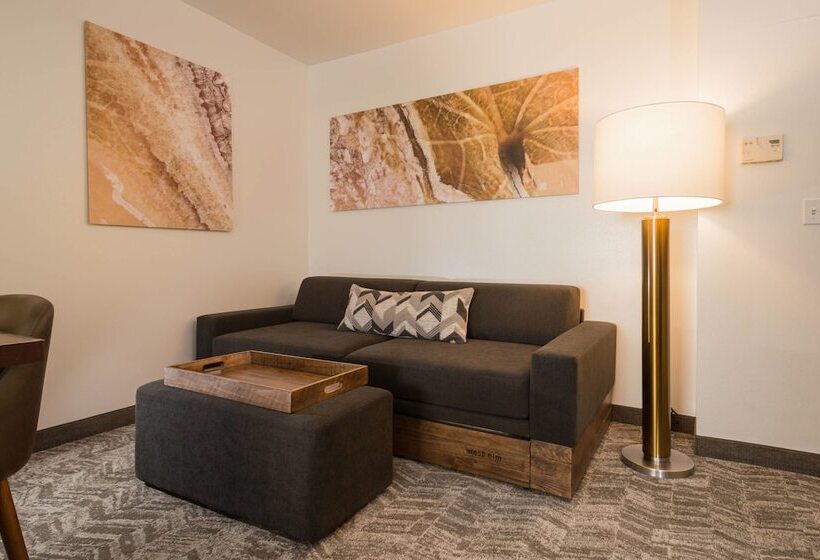 标准工作室, Springhill Suites Quakertown Pennsylvania