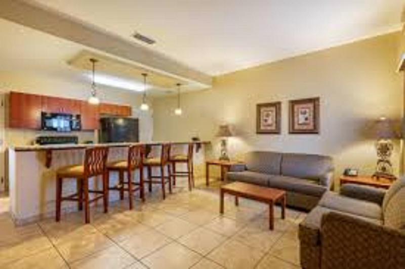 带大床的标准工作室, Springhill Suites Quakertown Pennsylvania