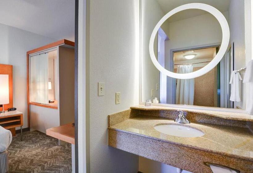 Студио Стандарт Кровать Кинг, Springhill Suites Shreveportbossier City/louisiana Downs