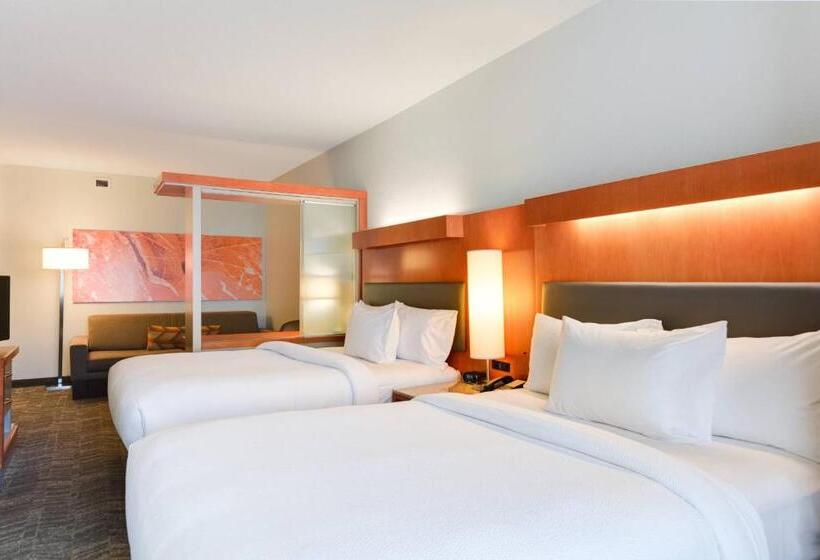 Студия Стандарт, Springhill Suites Shreveportbossier City/louisiana Downs