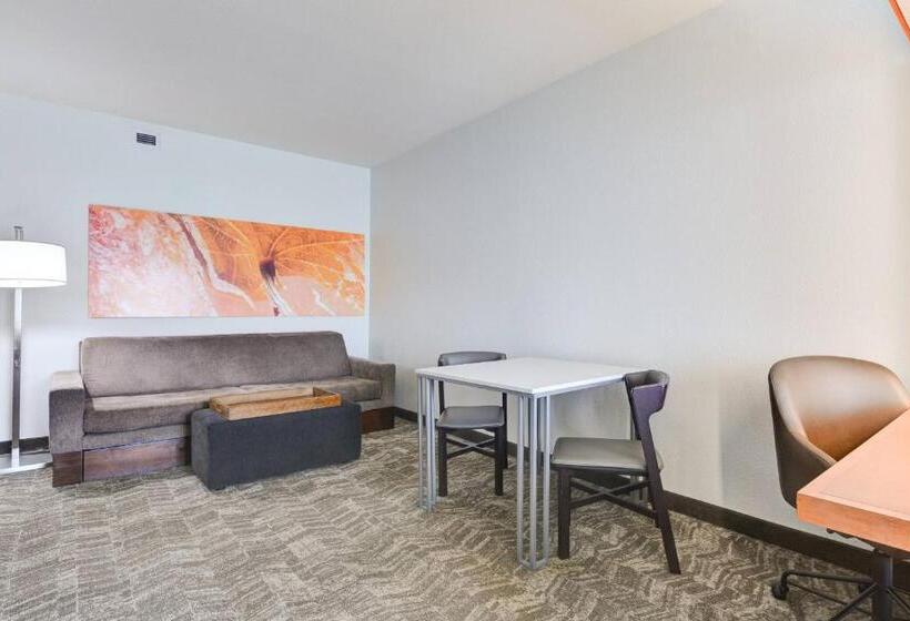 Люкс Кровать Кинг, Springhill Suites Shreveportbossier City/louisiana Downs