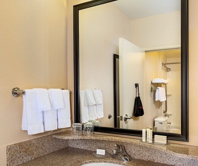 스탠다드 스튜디오, Springhill Suites By Marriott Modesto