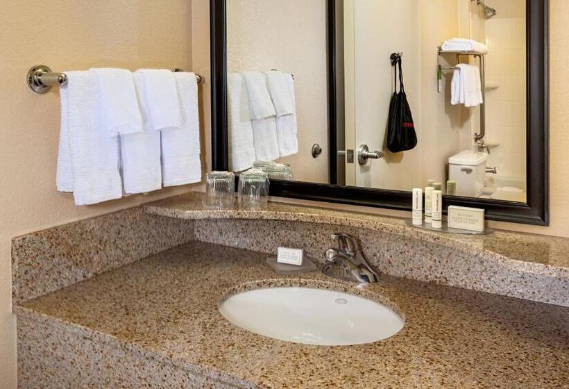 스탠다드 스튜디오 킹침대, Springhill Suites By Marriott Modesto