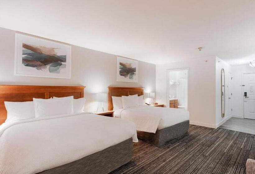 Студия Стандарт, Towneplace Suites Stafford