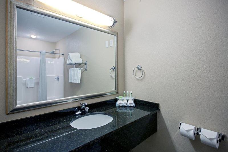 Стандартный Номер Кровать Кинг, Holiday Inn Express & Suites - Green Bay East, An Ihg