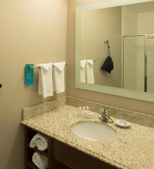 Студия Стандарт, Springhill Suites By Marriott Logan