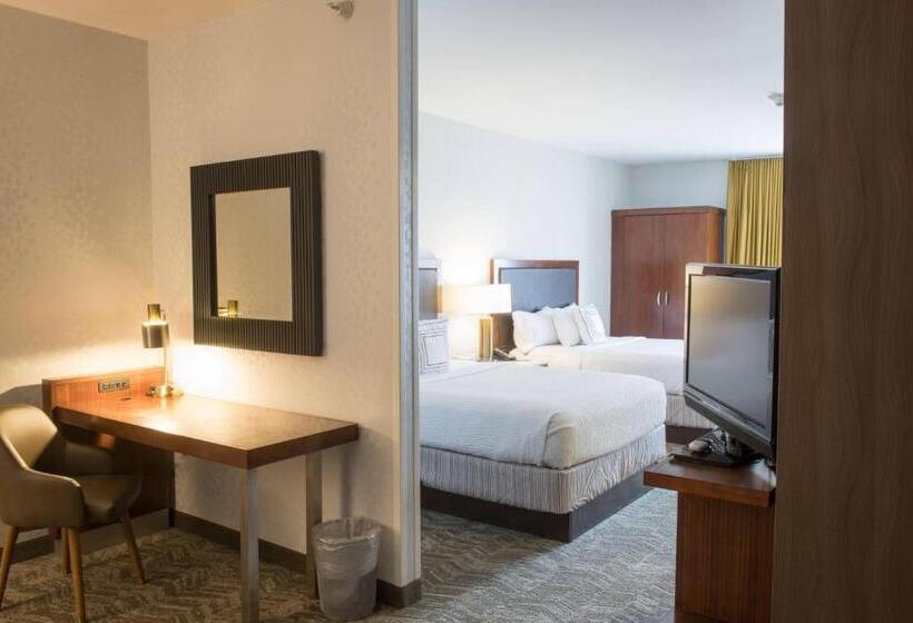 חדר סטודיו סטנדרד, Springhill Suites By Marriott Logan