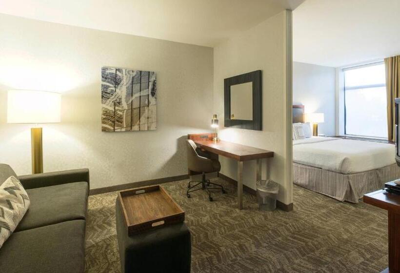 סטודיו סטנדרט, מיטה זוגית, Springhill Suites By Marriott Logan