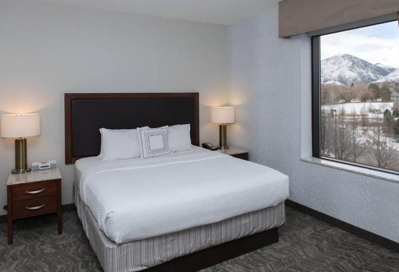Студио Стандарт Кровать Кинг, Springhill Suites By Marriott Logan