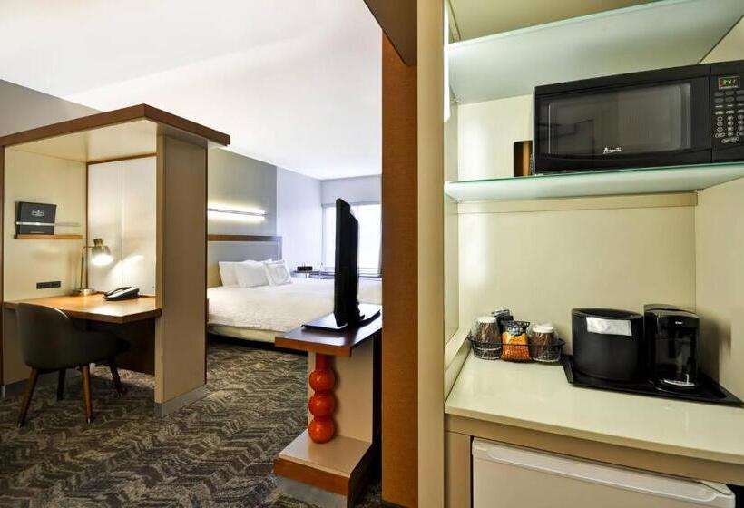 带大床的标准工作室, Springhill Suites Tallahassee Central
