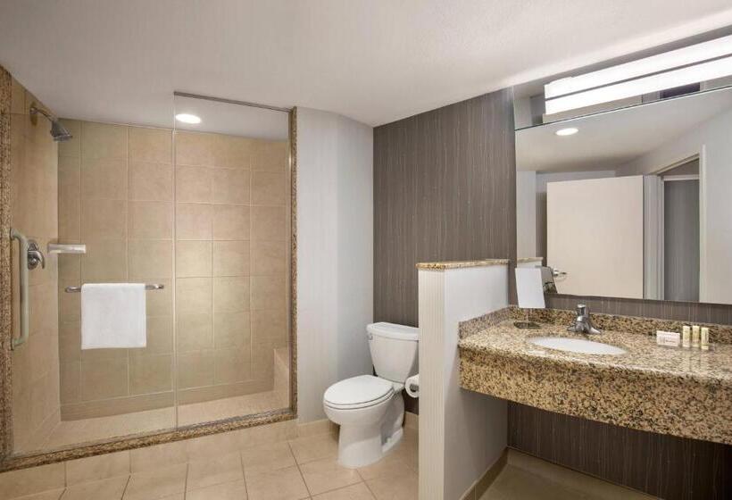 סוויטה אקזקיוטיב, Courtyard By Marriott Dallas Allen At Allen Event Center
