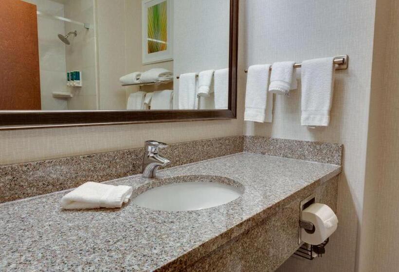 带大床的豪华间, Drury Inn & Suites Baton Rouge