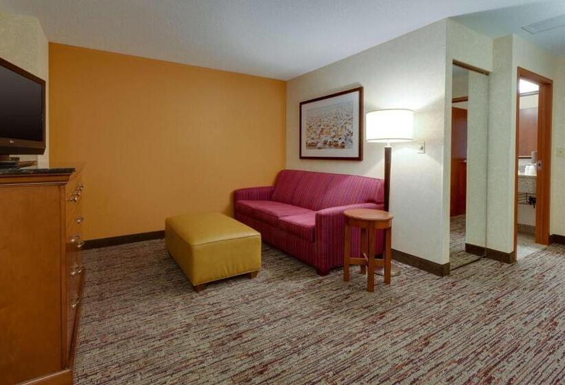 带大床的高级房间, Drury Inn & Suites Baton Rouge