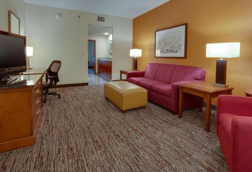 套房, Drury Inn & Suites Baton Rouge
