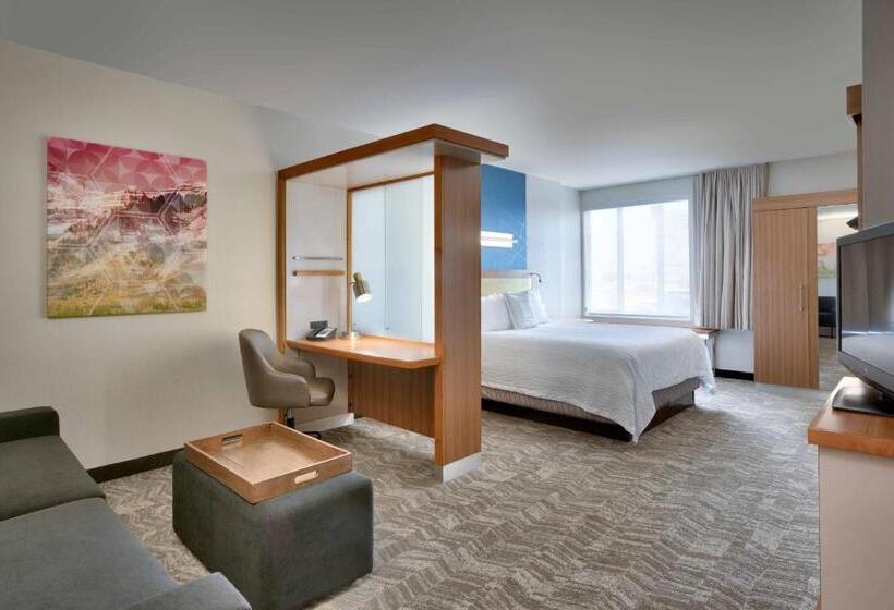 Люкс Кровать Кинг, Springhill Suites By Marriott Salt Lake City Draper