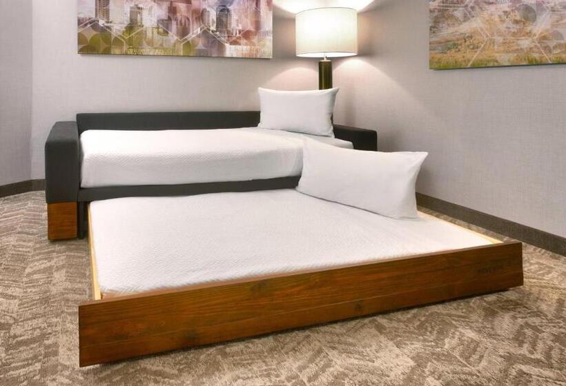 Люкс Адаптированный для Инвалидов, Springhill Suites By Marriott Salt Lake City Draper
