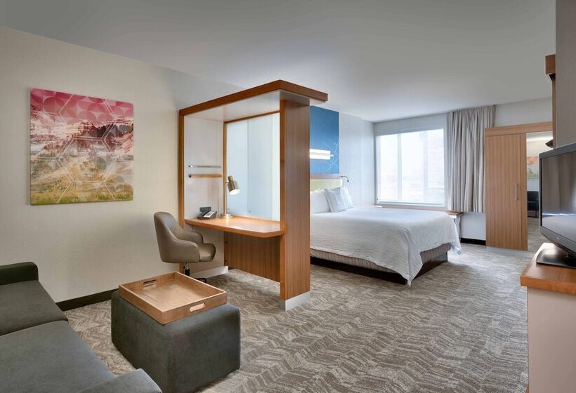 Люкс, Springhill Suites By Marriott Salt Lake City Draper