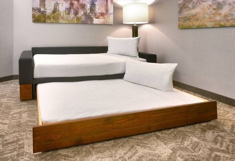Люкс Адаптированный для Инвалидов, Springhill Suites By Marriott Salt Lake City Draper