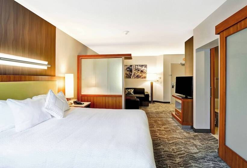 스탠다드 스튜디오, Springhill Suites By Marriott Columbia Fort Meade Area
