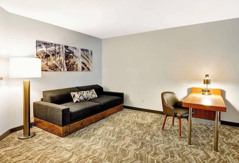 스탠다드 스튜디오, Springhill Suites By Marriott Columbia Fort Meade Area