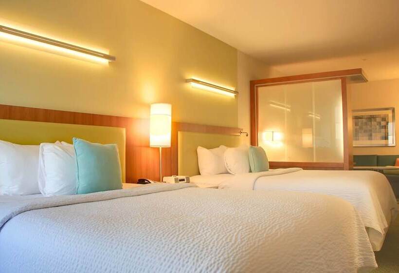 스위트, Springhill Suites By Marriott Scranton Montage Mountain