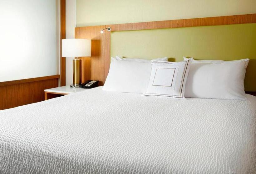 带大床的标准工作室, Springhill Suites By Marriott Pittsburgh Bakery Square