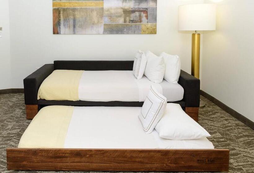 Студио Стандарт Кровать Кинг, Springhill Suites Houston Nasa/seabrook