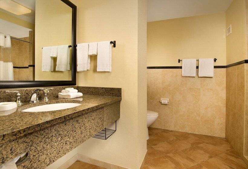 Люкс, Drury Plaza Hotel San Antonio North Stone Oak