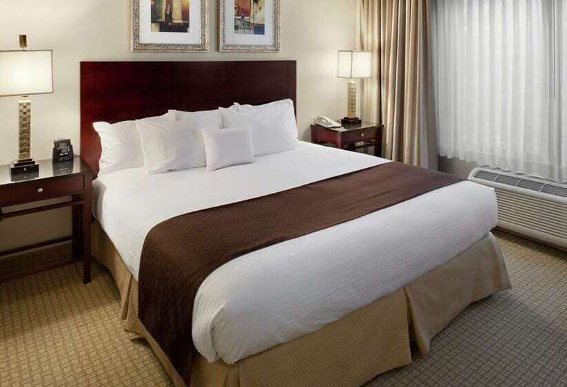 Estudi Estàndard Llit King, Home2 Suites By Hilton San Antonio Downtown  Riverwalk, Tx