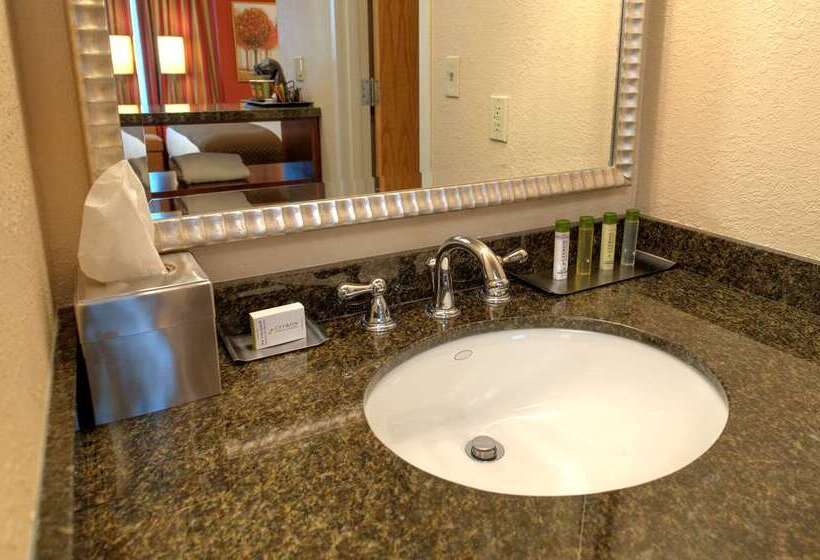 Estudi Estàndard Llit King, Home2 Suites By Hilton San Antonio Downtown  Riverwalk, Tx