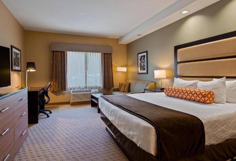 스탠다드 룸 킹사이즈 침대, Best Western Plus College Park