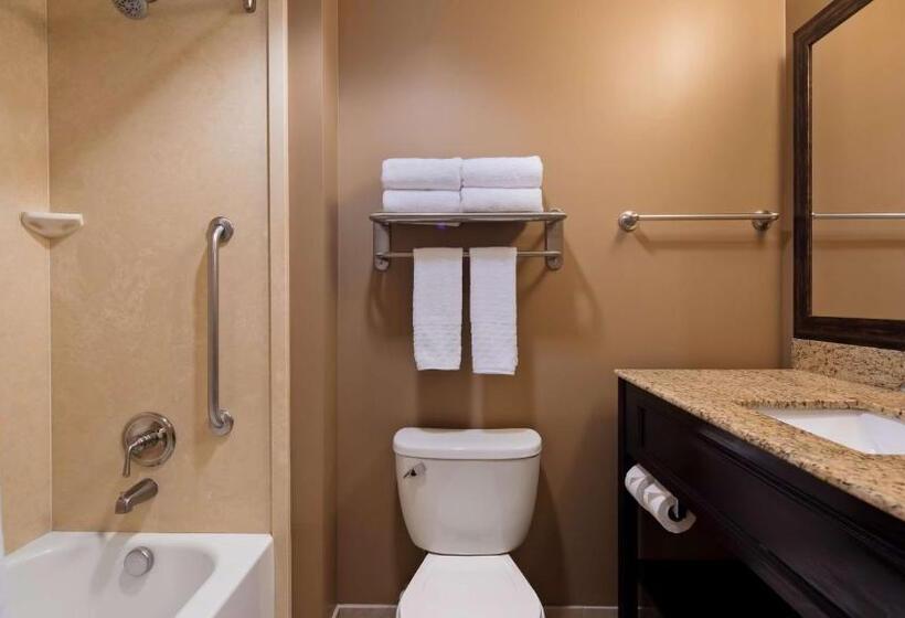 스탠다드 룸 킹사이즈 침대, Best Western Plus College Park