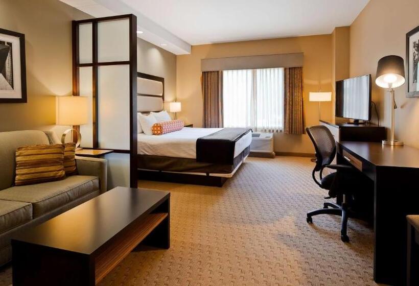 스탠다드 룸 킹사이즈 침대, Best Western Plus College Park