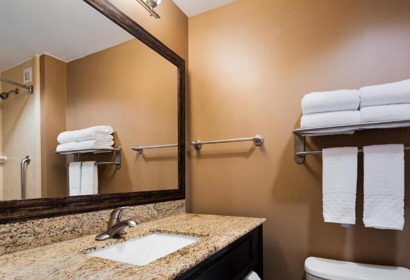 스탠다드 도시전망 룸, Best Western Plus College Park