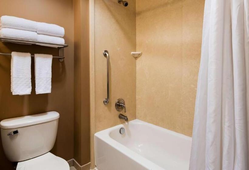 스탠다드 도시전망 룸, Best Western Plus College Park