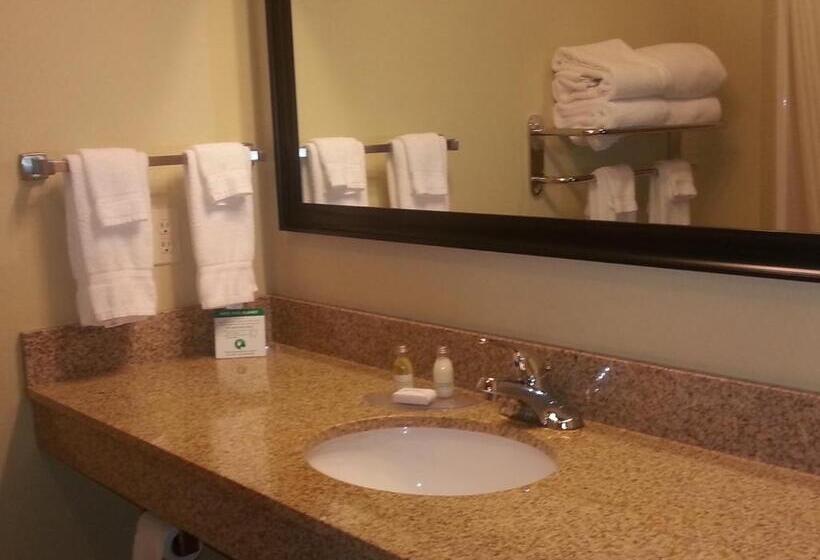 غرفة قياسية سرير كينج, Cobblestone Inn & Suites  Bloomfield