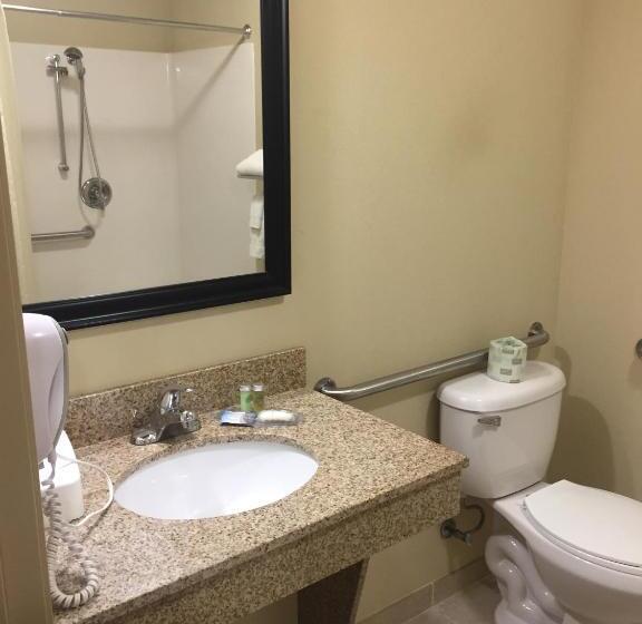 장애인을 위한 스탠다드 룸, Cobblestone Inn & Suites  Bloomfield