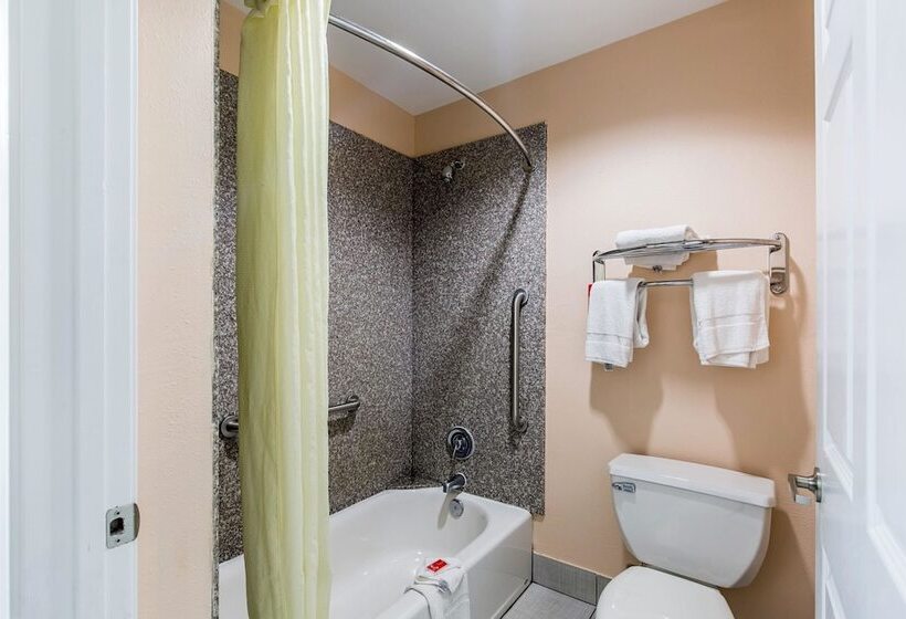 Номер Стандарт 2 Двуспальные Кровати, Quality Inn & Suites Bridge City Orange