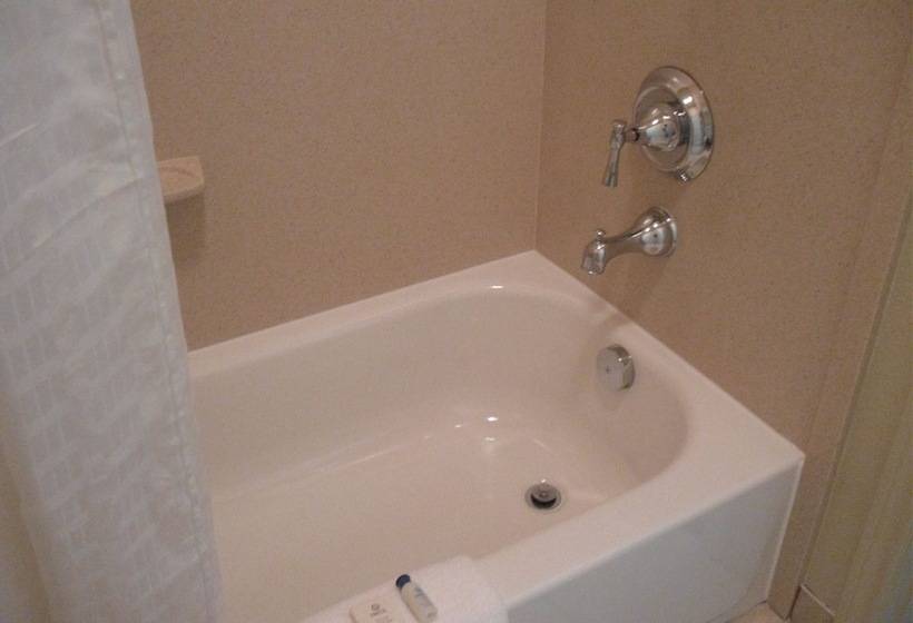 套房, Executive Inn & Suites Joaquin