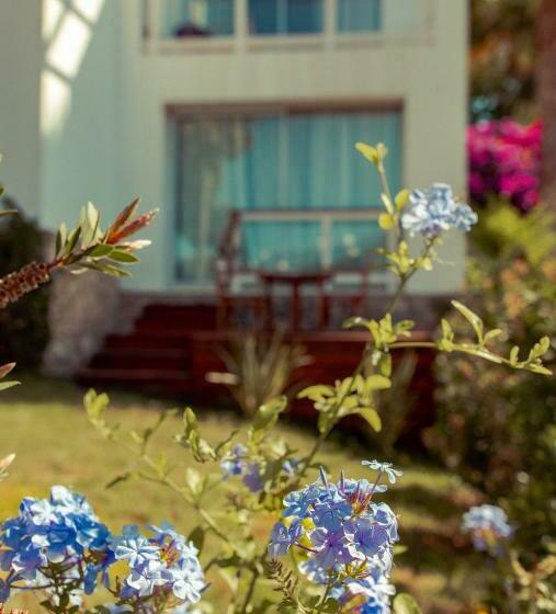 Номер Стандарт, Destino Pacha Ibiza